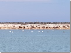 20180506_144640 20180506_144640