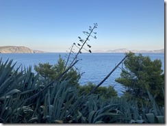 File_006 File_006