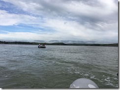 IMG-20170706-WA0003 IMG-20170706-WA0003