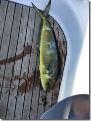 IMG-20180911-WA0000 IMG-20180911-WA0000