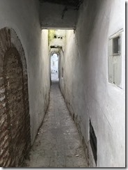 IMG_2913 IMG_2913