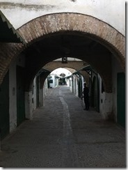 IMG_2921 IMG_2921