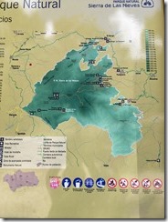 IMG_2993 IMG_2993