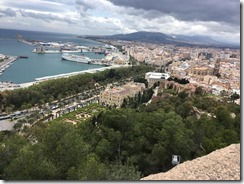 IMG_3042 IMG_3042