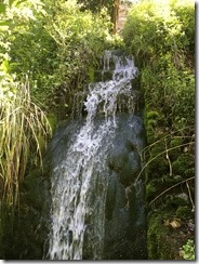 IMG_3143 IMG_3143