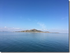 IMG_3399 IMG_3399