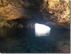 IMG_3501 IMG_3501