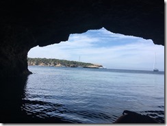IMG_3507 IMG_3507