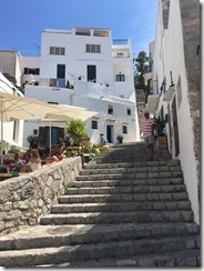 IMG_3605 IMG_3605