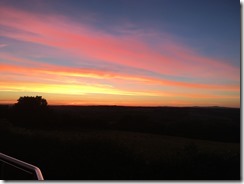 IMG_3801 IMG_3801