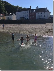 IMG_3854 IMG_3854