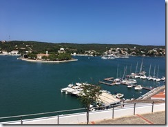 IMG_4125 IMG_4125